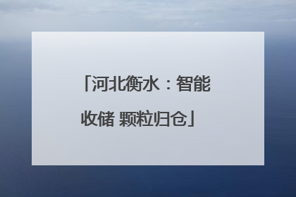 河北衡水：智能收储 颗粒归仓