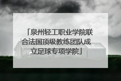 泉州轻工职业学院联合法国顶级教练团队成立足球专项学院