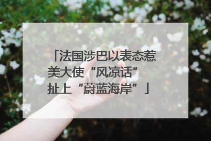 法国涉巴以表态惹美大使“风凉话” 扯上“蔚蓝海岸”