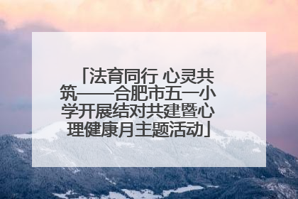 法育同行 心灵共筑——合肥市五一小学开展结对共建暨心理健康月主题活动