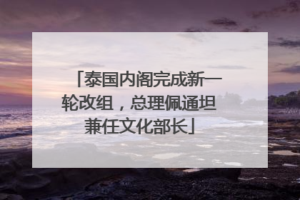 泰国内阁完成新一轮改组，总理佩通坦兼任文化部长