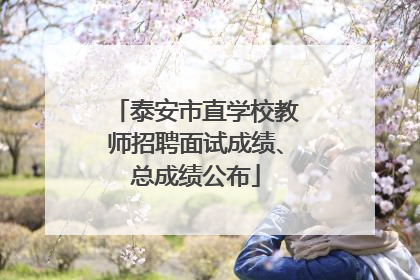 泰安市直学校教师招聘面试成绩、总成绩公布