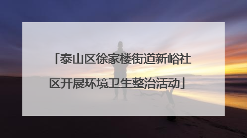泰山区徐家楼街道新峪社区开展环境卫生整治活动