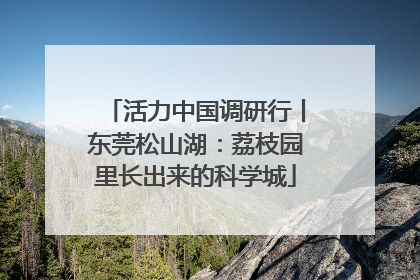 活力中国调研行丨东莞松山湖：荔枝园里长出来的科学城