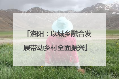 洛阳：以城乡融合发展带动乡村全面振兴