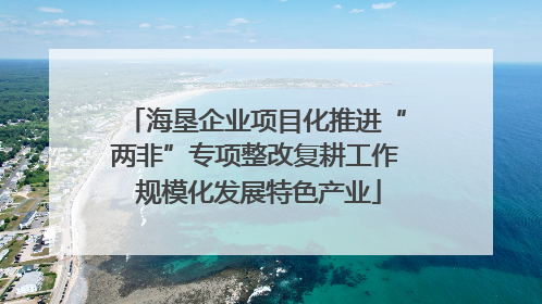 海垦企业项目化推进“两非”专项整改复耕工作 规模化发展特色产业