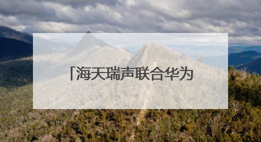 海天瑞声联合华为发布海天瑞声x昇腾DeepSeek数据飞轮智能体