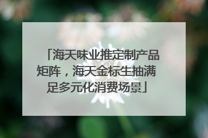 海天味业推定制产品矩阵,海天金标生抽满足多元化消费场景