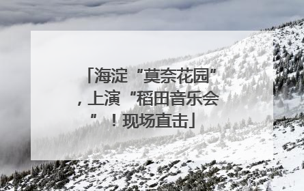 海淀“莫奈花园”，上演“稻田音乐会”！现场直击