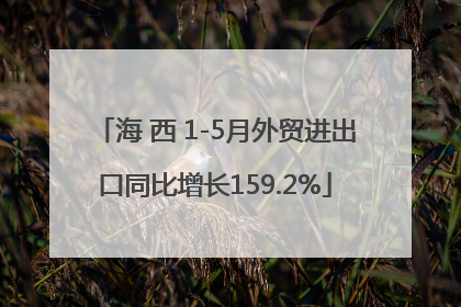 海 西 1-5月外贸进出口同比增长159.2%