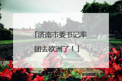 济南市委书记率团去欧洲了！