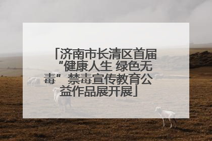 济南市长清区首届“健康人生 绿色无毒”禁毒宣传教育公益作品展开展