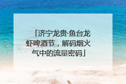 济宁龙贵·鱼台龙虾啤酒节，解码烟火气中的流量密码