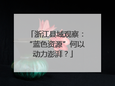 浙江县域观察：“蓝色资源”何以动力澎湃？