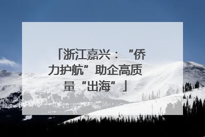 浙江嘉兴：“侨力护航”助企高质量“出海”