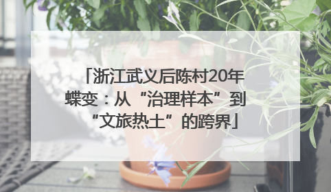 浙江武义后陈村20年蝶变：从“治理样本”到“文旅热土”的跨界