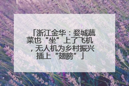 浙江金华：婺城蔬菜也“坐”上了飞机，无人机为乡村振兴插上“翅膀”