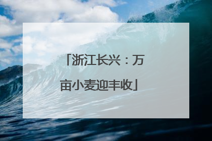 浙江长兴：万亩小麦迎丰收