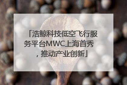 浩鲸科技低空飞行服务平台MWC上海首秀，推动产业创新