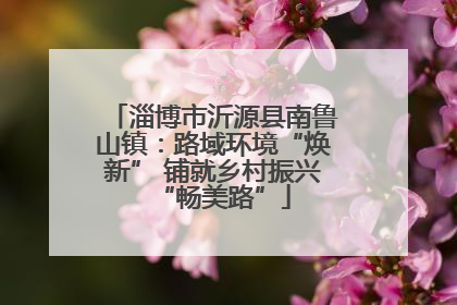 淄博市沂源县南鲁山镇：路域环境“焕新” 铺就乡村振兴“畅美路”