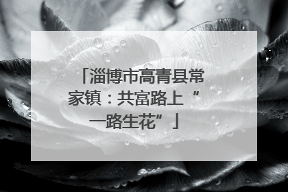 淄博市高青县常家镇：共富路上“一路生花”