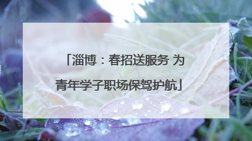 淄博：春招送服务 为青年学子职场保驾护航