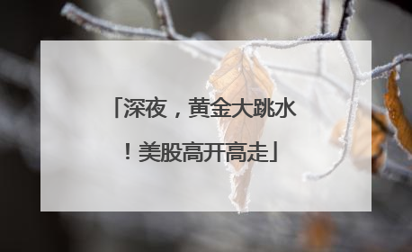 深夜，黄金大跳水！美股高开高走