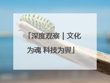 深度观察｜文化为魂 科技为翼