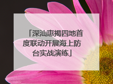 深汕惠揭四地首度联动开展海上防台实战演练