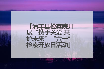 清丰县检察院开展“携手关爱 共护未来”“六一”检察开放日活动