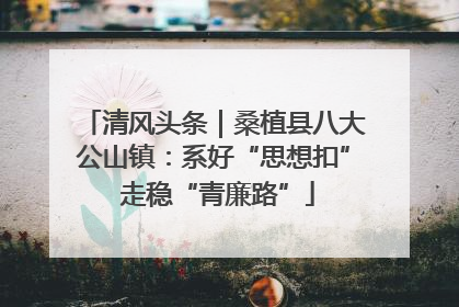 清风头条｜桑植县八大公山镇：系好“思想扣” 走稳“青廉路”