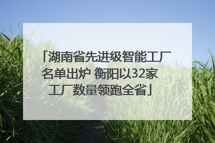 湖南省先进级智能工厂名单出炉 衡阳以32家工厂数量领跑全省