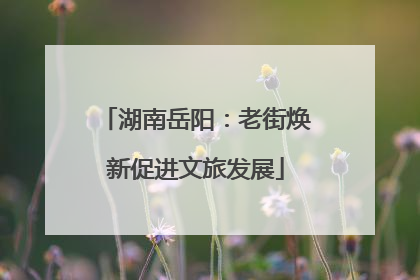 湖南岳阳：老街焕新促进文旅发展