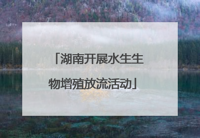 湖南开展水生生物增殖放流活动