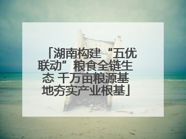 湖南构建“五优联动”粮食全链生态 千万亩粮源基地夯实产业根基