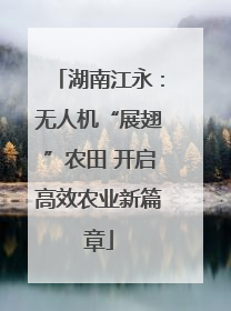 湖南江永：无人机“展翅”农田 开启高效农业新篇章