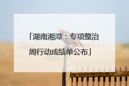 湖南湘潭：专项整治周行动成绩单公布