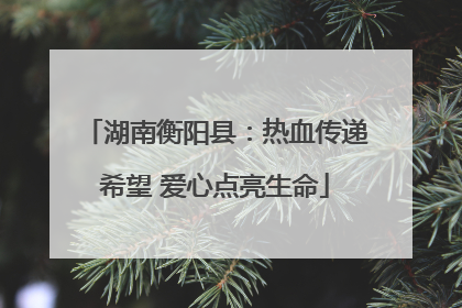 湖南衡阳县：热血传递希望 爱心点亮生命
