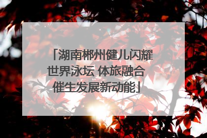 湖南郴州健儿闪耀世界泳坛 体旅融合催生发展新动能