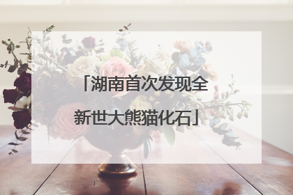 湖南首次发现全新世大熊猫化石