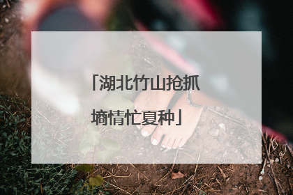 湖北竹山抢抓墒情忙夏种