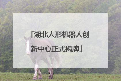 湖北人形机器人创新中心正式揭牌