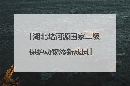 湖北堵河源国家二级保护动物添新成员