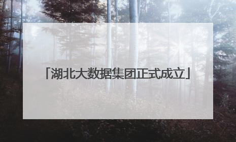 湖北大数据集团正式成立