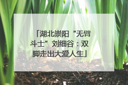 湖北崇阳“无臂斗士”刘细谷：双脚走出大爱人生