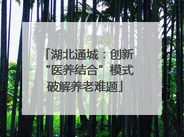 湖北通城：创新 “医养结合”模式 破解养老难题