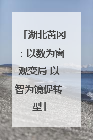 湖北黄冈：以数为窗观变局 以智为镜促转型