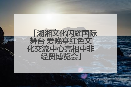 湖湘文化闪耀国际舞台 爱晚亭红色文化交流中心亮相中非经贸博览会