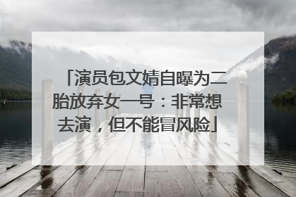 演员包文婧自曝为二胎放弃女一号：非常想去演，但不能冒风险