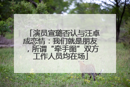 演员宣璐否认与汪卓成恋情：我们就是朋友，所谓“牵手图”双方工作人员均在场